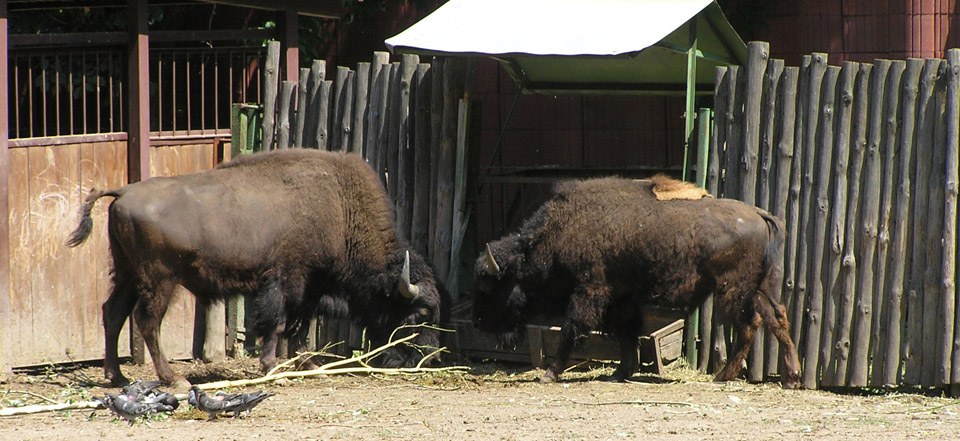 智慧便利优质的短信验证码轰炸免费